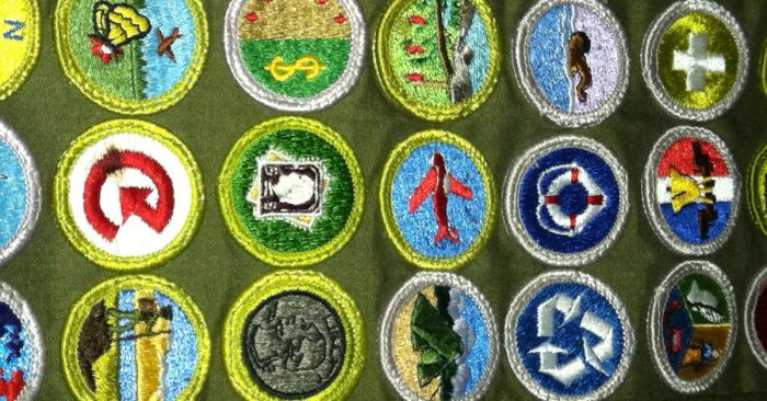 List of scout merit badges