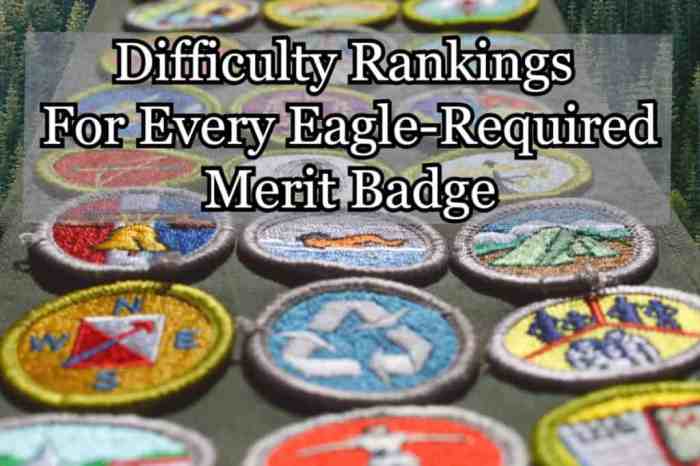 Eagle Scout required merit badges