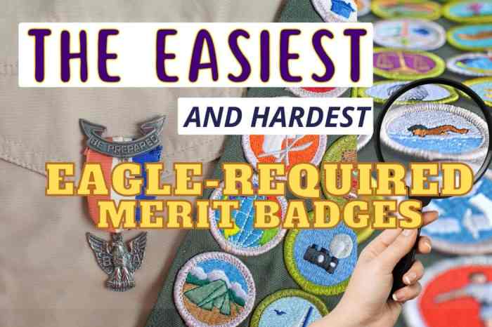 Eagle Scout required merit badges