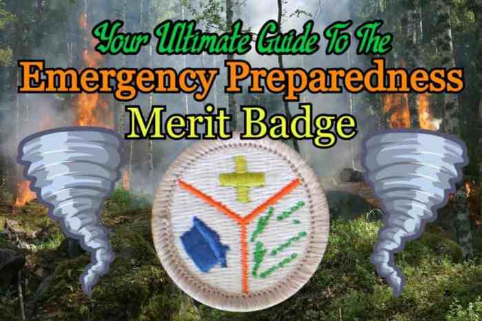 Merit scouts eagle america scouting troop boyscout advancement uniform clipground stuff