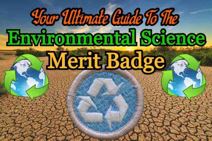 Sustainability merit badge boy scouts