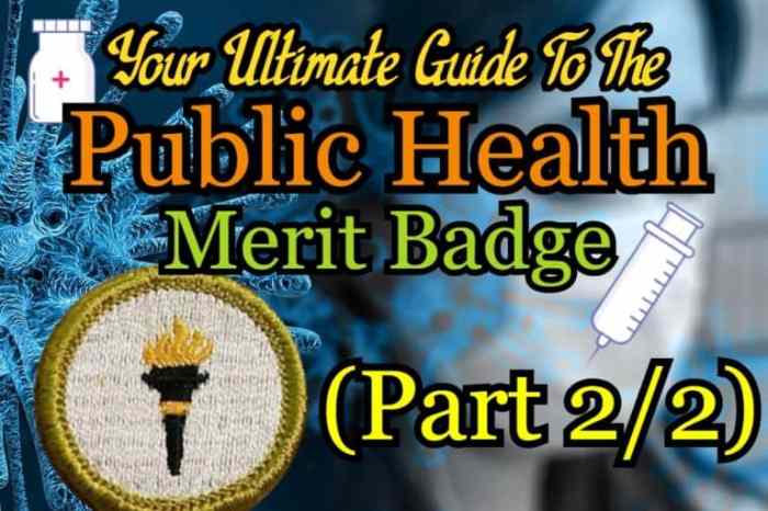 Public health merit badge activities