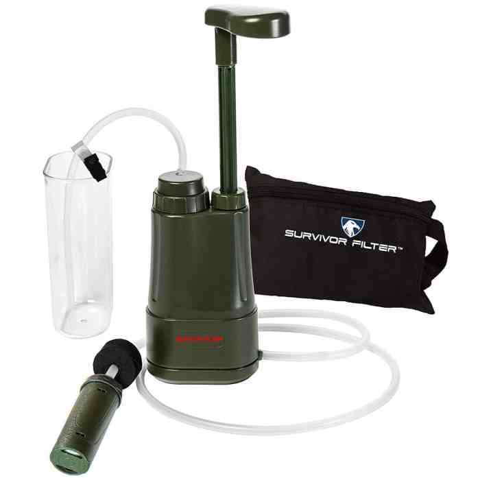 Water purification systems for camping