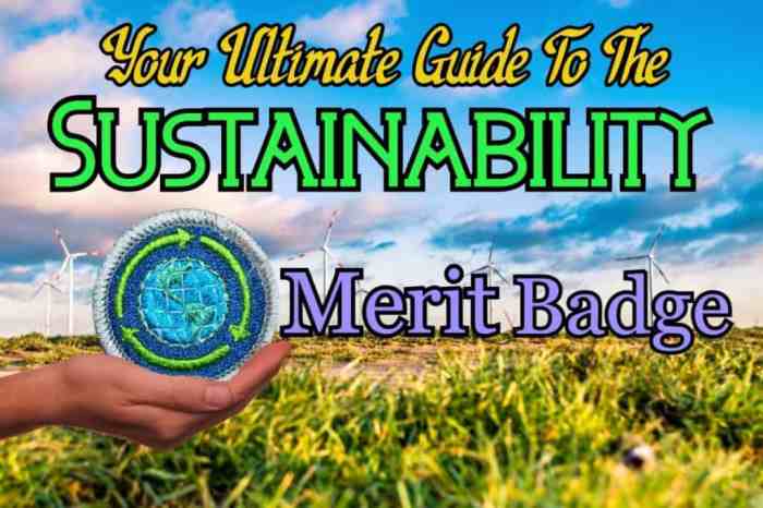 Sustainability merit badge guide