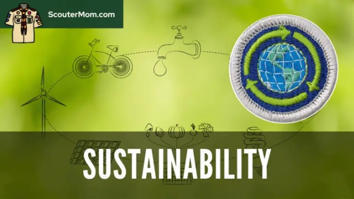 Merit badge requirements sustainability