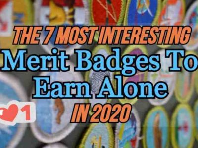 Merit badge earn