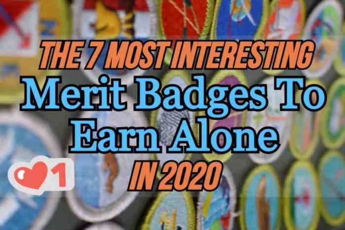 Merit badge earn