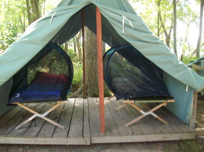 Cub tents scout