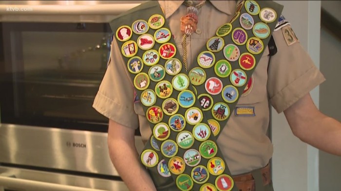 List of scout merit badges