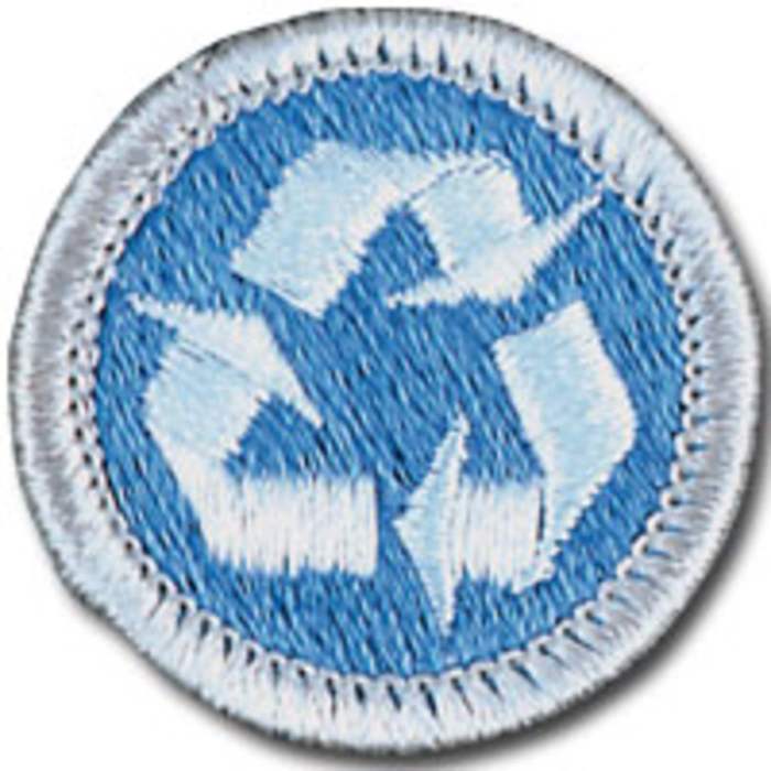 Environmental science merit badge steps