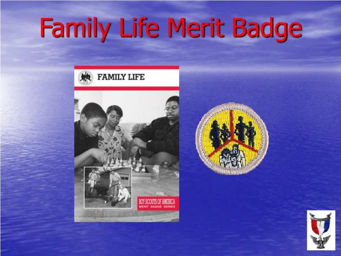 Family life merit badge activities