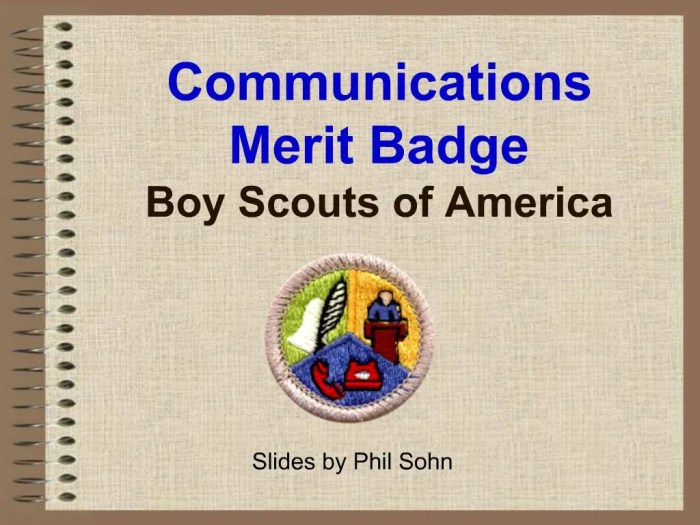 Merit requirement each scout