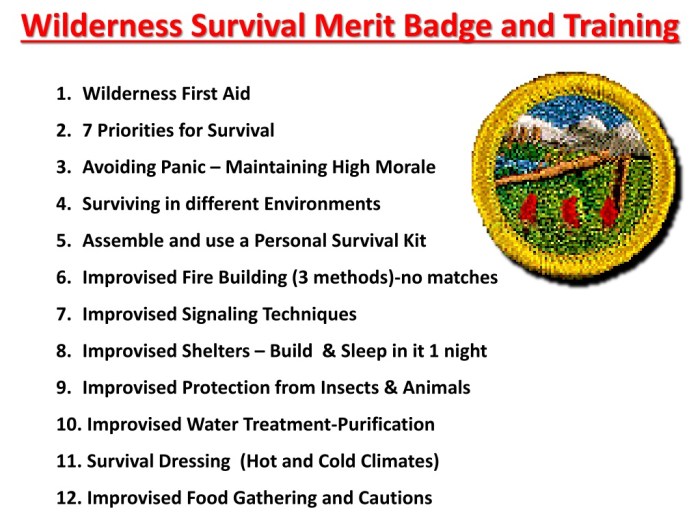 Wilderness workbook merit