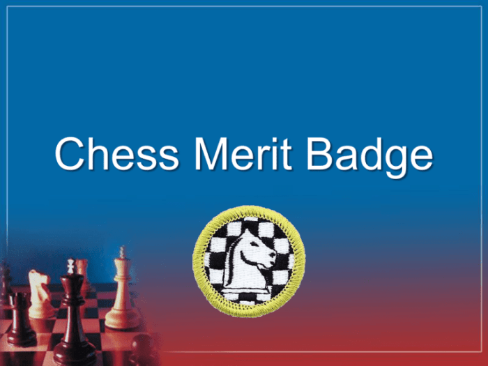 Chess merit badge strategies