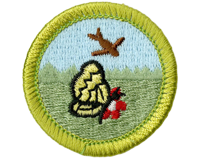 Nature merit badge identification
