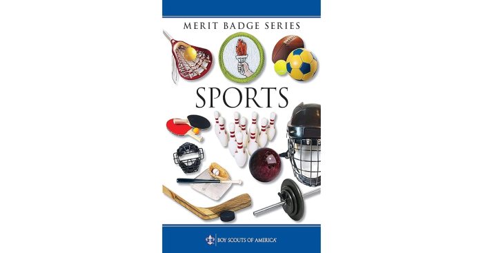 Sports merit badge record keeping