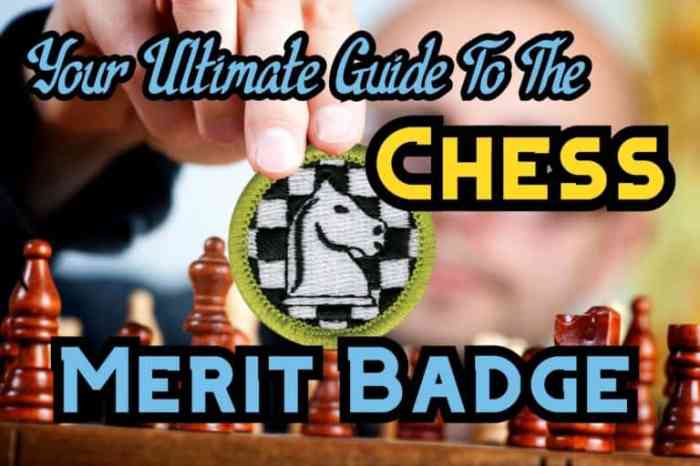 Chess merit badge strategies