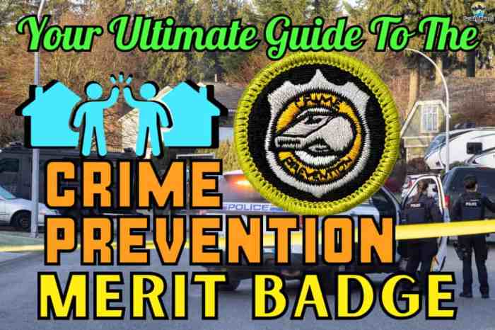 Crime prevention merit badge community service