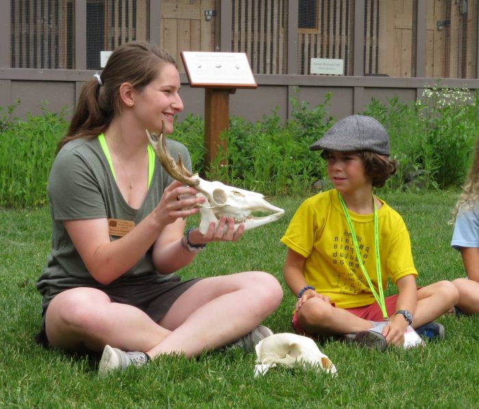 Naturalist programs for scout education