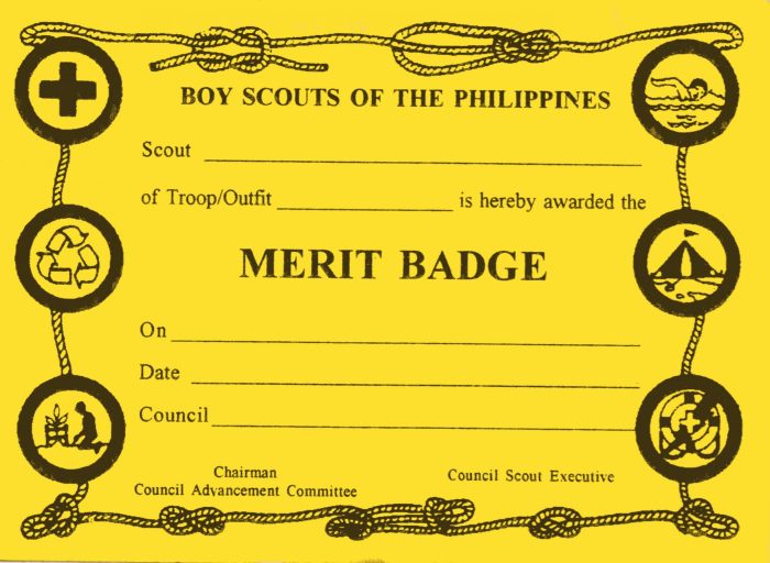 Scholarship merit badge applications