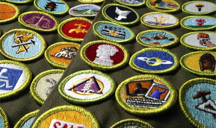 Insect study merit badge collection