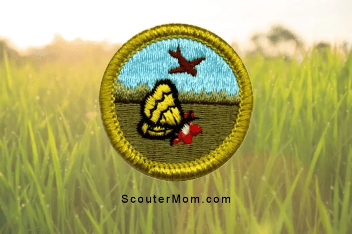 Nature merit badge identification