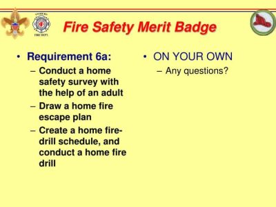 Merit badge requirement prevented injuries