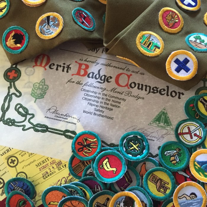 Merit scout badges boy search word scouts badge ireland list eagle names puzzle collection cub theodore bella girl pdf troop