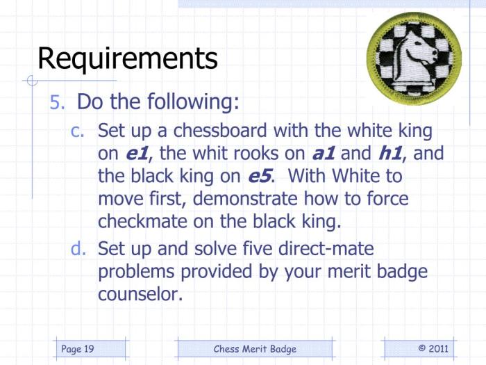 Chess merit badge